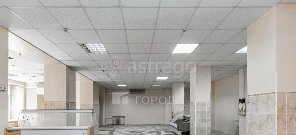 Торговое помещение, 288 м2 Барнаул - изображение 4