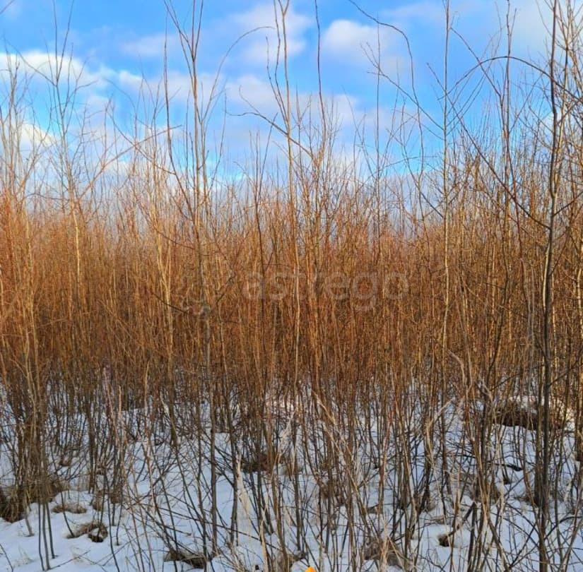 Земельный участок, 13.28 сотки Электрогорск - изображение 1