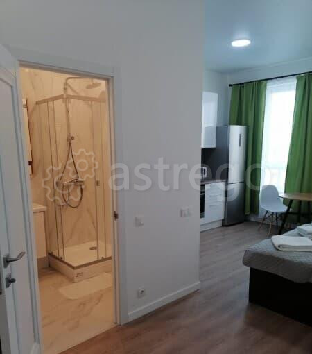 Студия, 27 м2, 11/11 эт. Москва - изображение 4