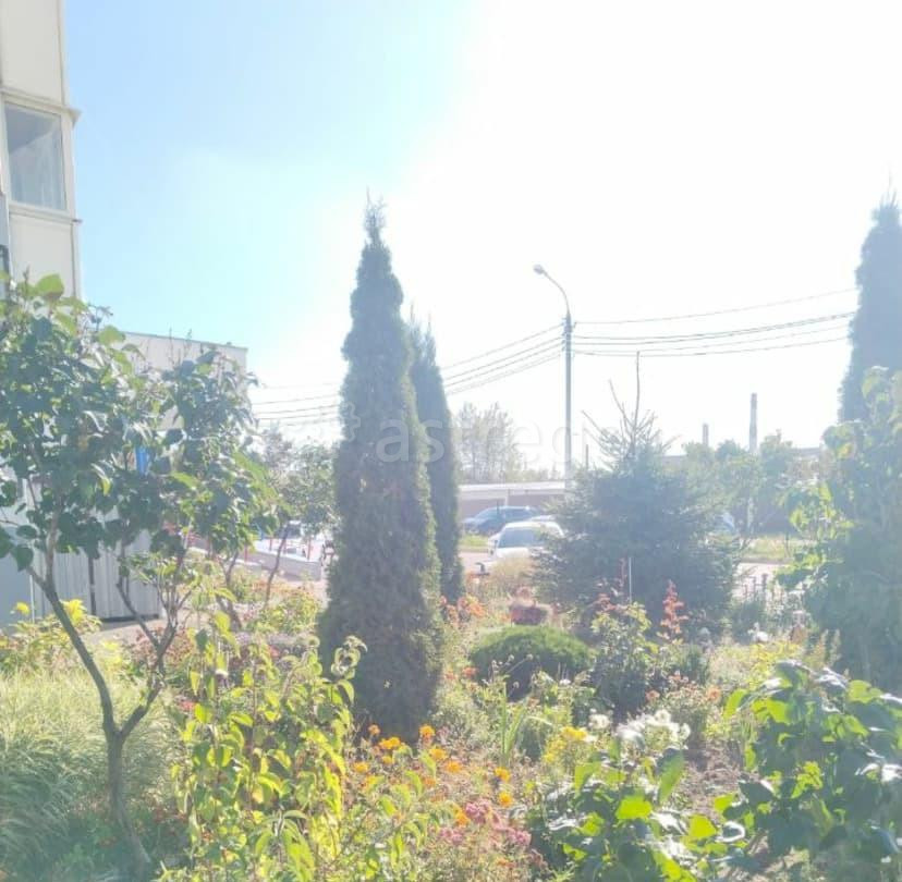 3-комн. квартира, 88.1 м2, 14/24 эт. Чехов - изображение 5