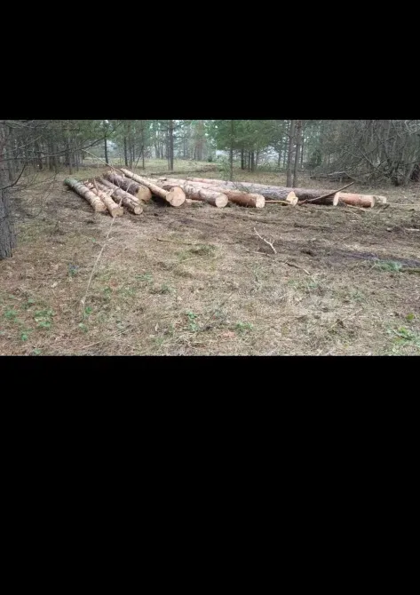 Лес кругляк Красноуфимск - изображение 1