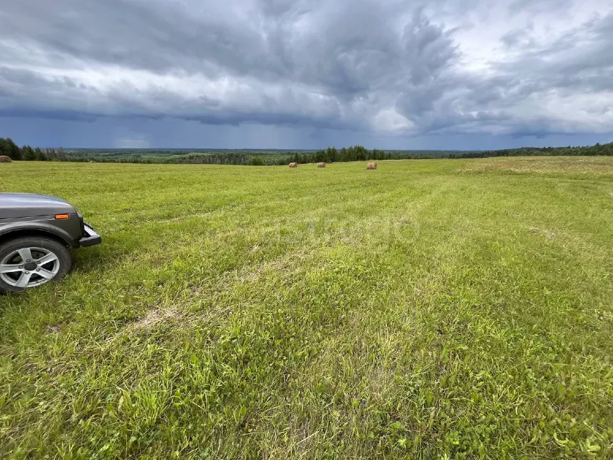 Продам участок, Фермерский, 30000 сот. Пермь - изображение 3