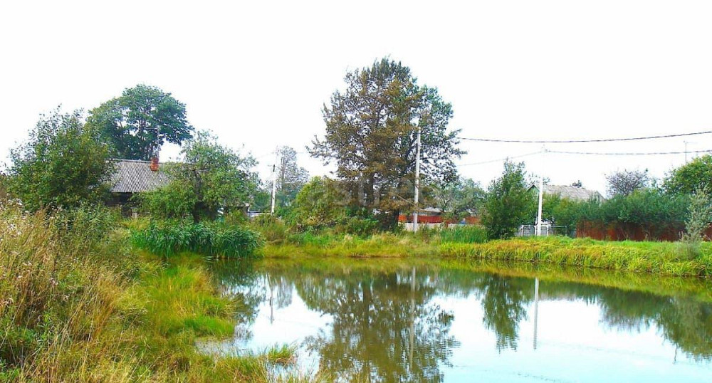 Земельный участок, 20 соток Шаховская - изображение 6