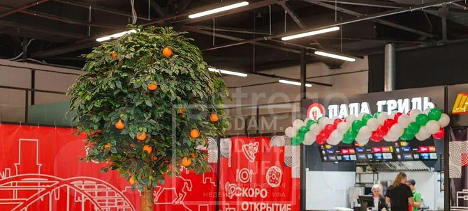Торговое помещение, 10 м2 Уфа - изображение 6