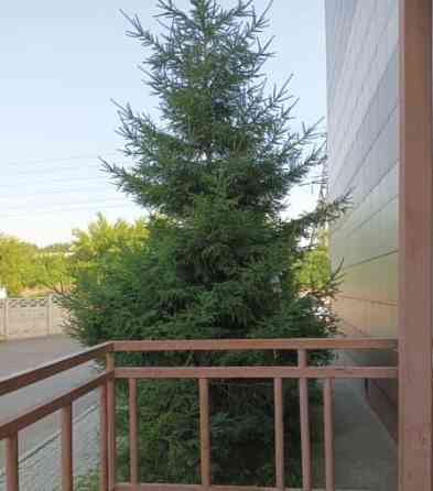 Студия, 22 м2, 3/5 эт. Красноярск