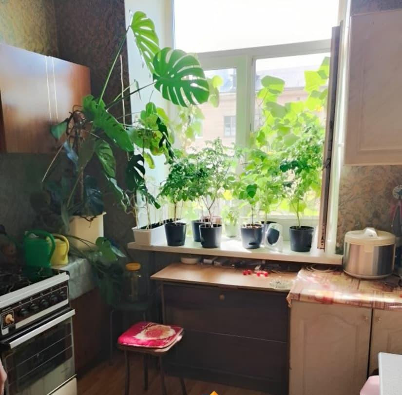 Комната, 30 м2, 4/4 эт. Электросталь - изображение 7