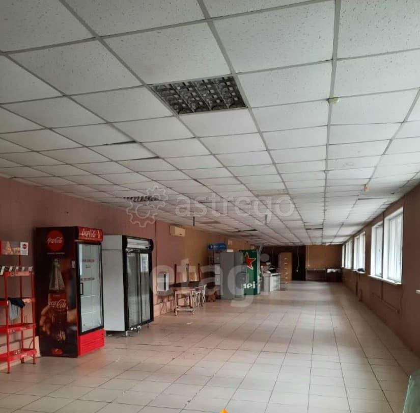 Торговое помещение, 530.3 м2 Алтайское - изображение 7