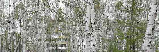 4-комн. квартира, 74.6 м2, 5/5 эт. Зея