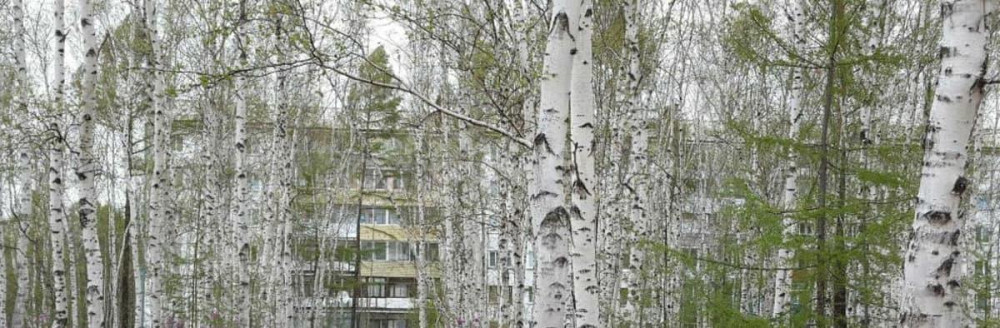 4-комн. квартира, 74.6 м2, 5/5 эт. Зея - изображение 1