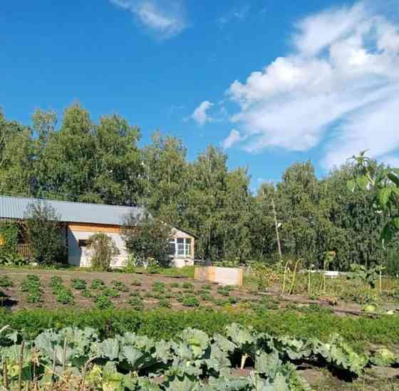 Коттедж, 200 м2, 22 сотки, 2 эт. Курагино