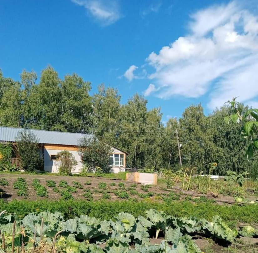 Коттедж, 200 м2, 22 сотки, 2 эт. Курагино - изображение 2