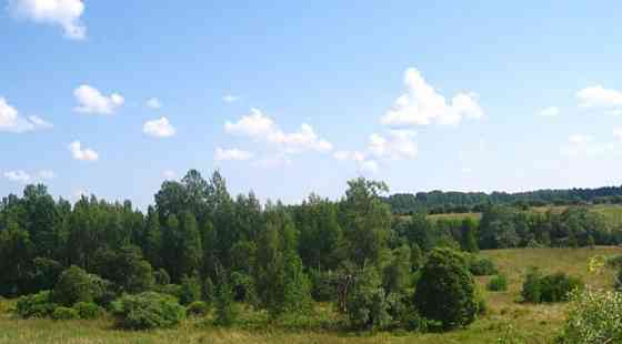 Коммерческий участок, 1 га Энем