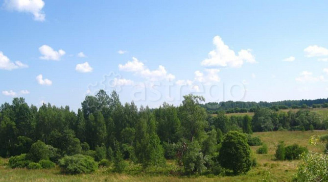 Коммерческий участок, 1 га Энем - изображение 4