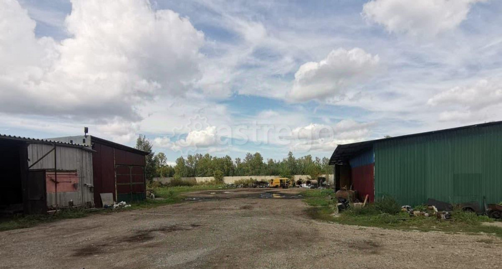 Свободного назначения, 794 м2 Павловск - изображение 5