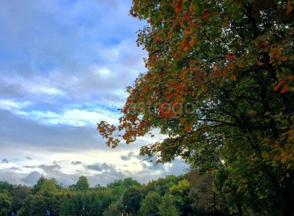 Земельный участок, 30 соток Уфа - изображение 2