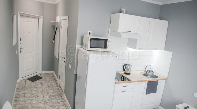 Студия, 20 м2, 12/17 эт. Климовск - изображение 7