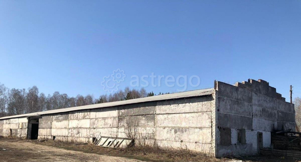 Производственное, 1770 м2 Тальменка - изображение 4