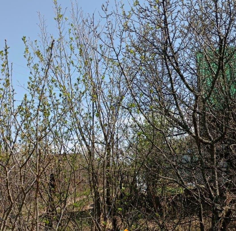 Дом, 30 м2, 6 соток, 1 эт. Уфа - изображение 7