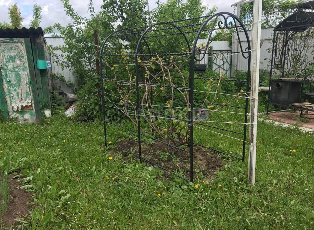 Арка тоннель для дачи Садовые перголы Амарант Раменское - изображение 1