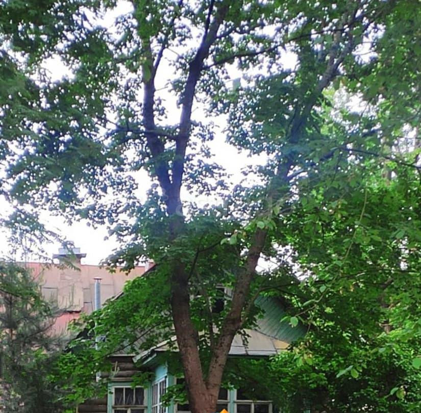 Земельный участок, 19.2 сотки Санкт-Петербург - изображение 1