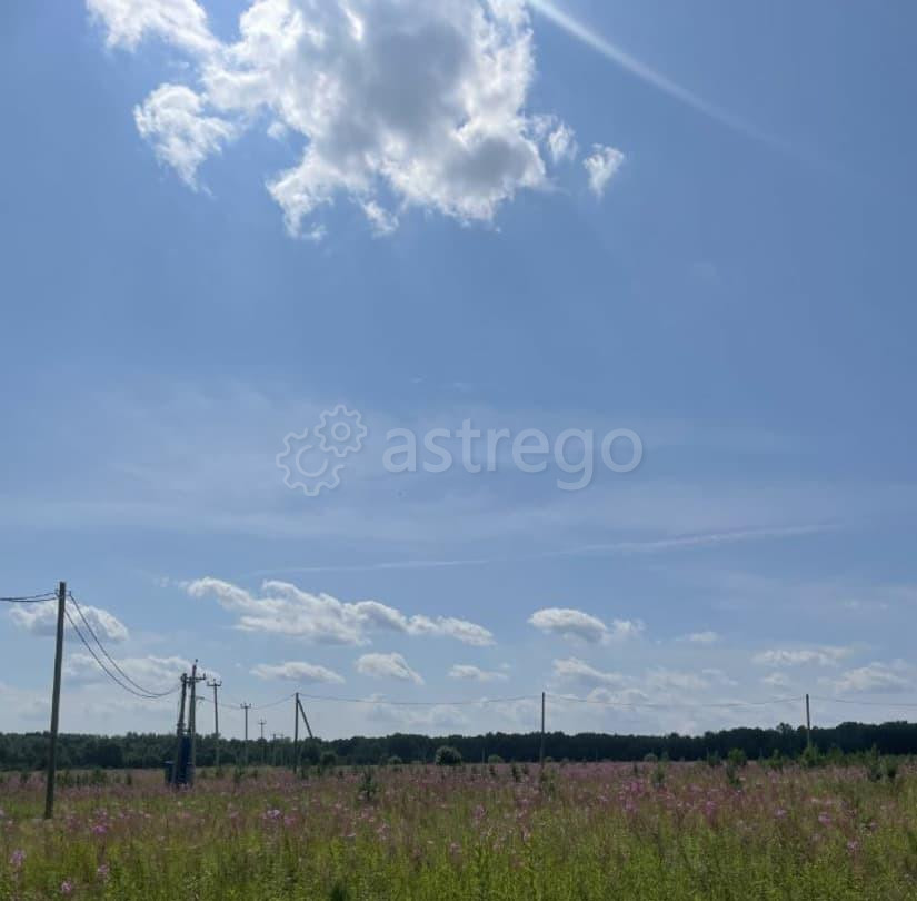 Земельный участок, 10 соток Емельяново - изображение 4