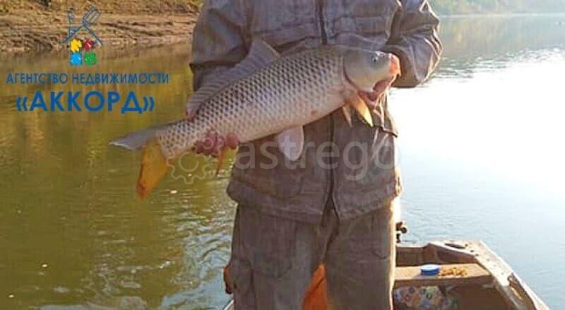 Дом, 31 м2 Павловск - изображение 3