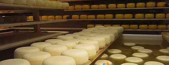 Готовый бизнес, 100 м2 Домодедово