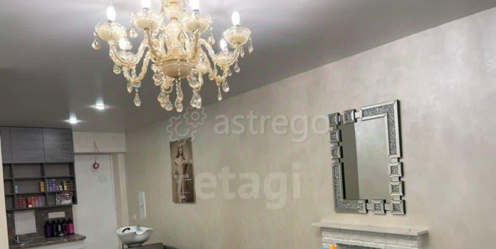 Готовый бизнес, 55.8 м2 Благовещенск - изображение 3