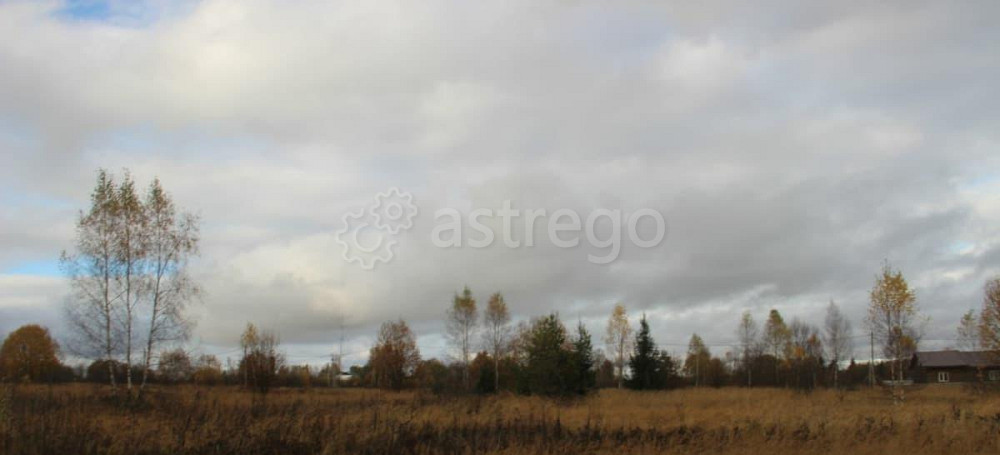 Земельный участок, 15 соток Шаховская - изображение 1