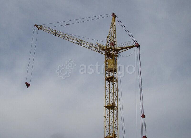 Кран башенный ZOOMLION D5200-240, грузоподъемность 240 т, вылет стрелы 50 м Челябинск - изображение 1