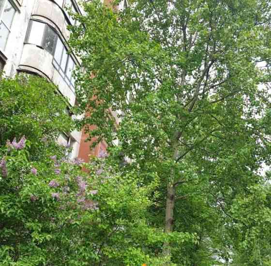 3-комн. квартира, 70.9 м2, 4/9 эт. Санкт-Петербург