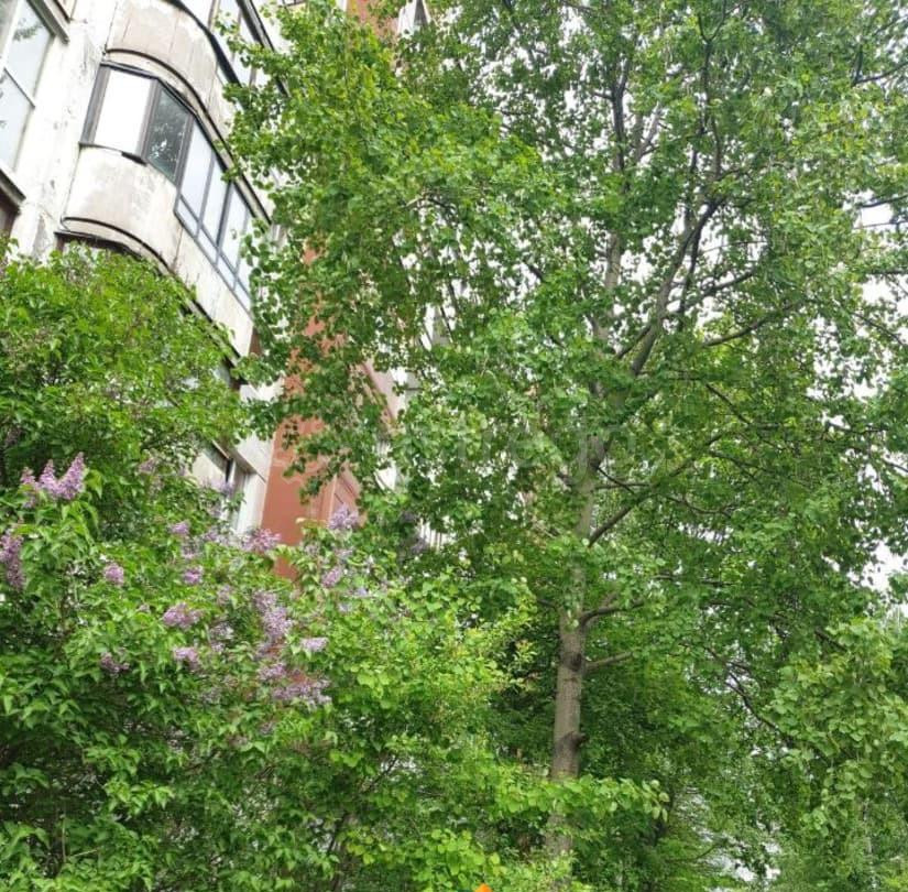 3-комн. квартира, 70.9 м2, 4/9 эт. Санкт-Петербург - изображение 1