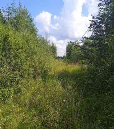 Земельный участок, 21 сотка Клин