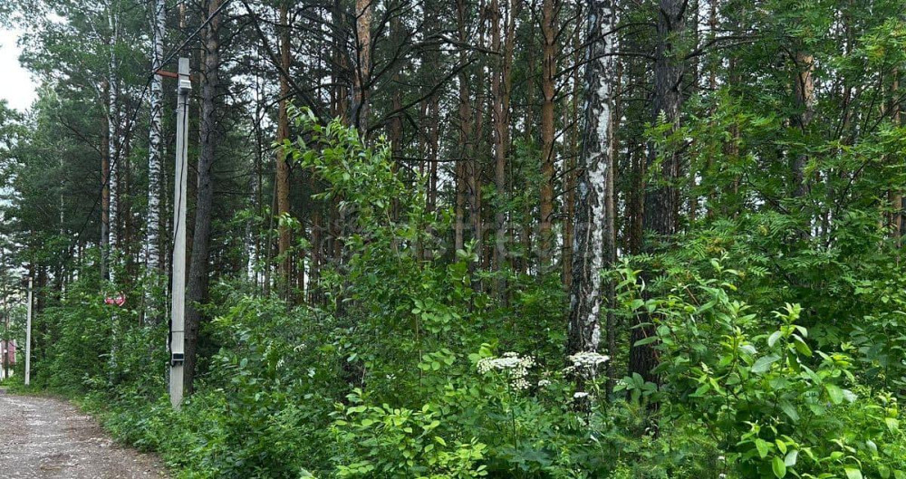 Земельный участок, 20 соток Березовка - изображение 3