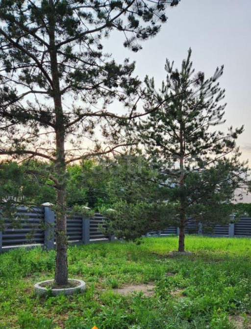 Коттедж, 236.6 м2, 8.5 сотки, 1 эт. Старая Купавна - изображение 6