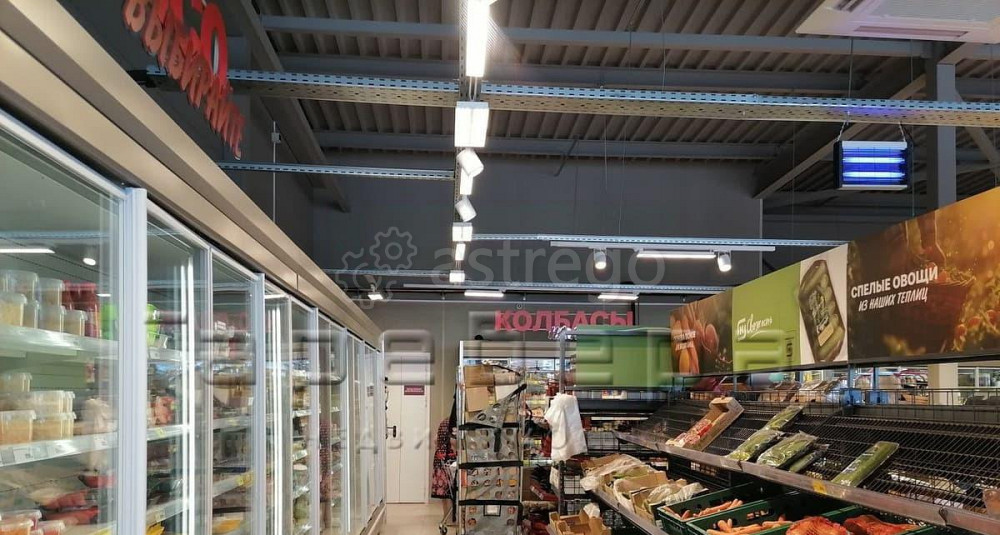 Готовый бизнес, 495 м2 Красноярск - изображение 2