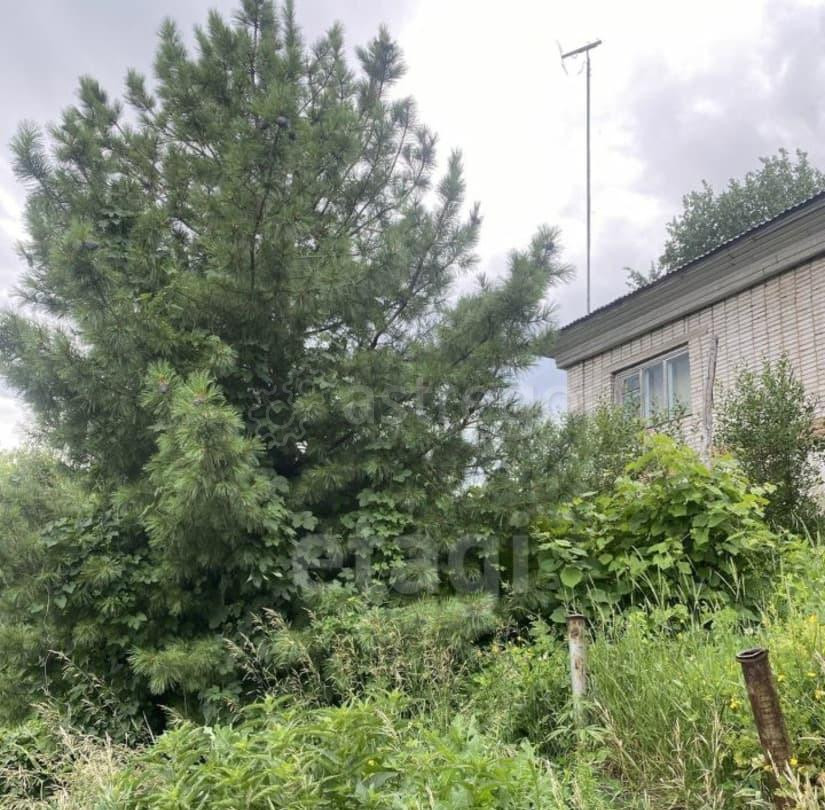 Дом, 54.9 м2, 8.5 сотки, 1 эт. Белокуриха - изображение 6