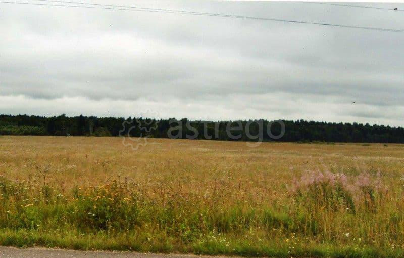 Земельный участок, 15 соток Коломна - изображение 1