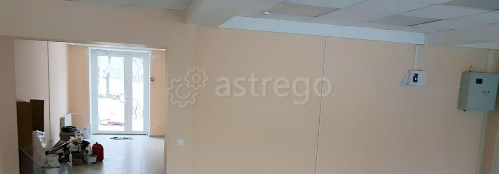 Торговое помещение, 60 м2 Санкт-Петербург - изображение 5