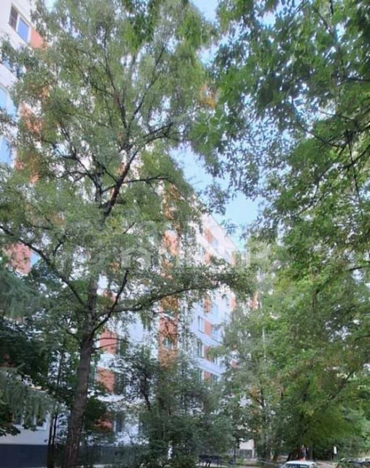 1-комн. квартира, 33 м2, 5/9 эт. Москва - изображение 1