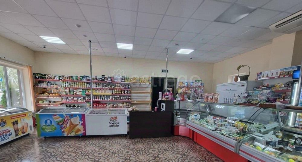 Торговое помещение, 161 м2 Разумное - изображение 3