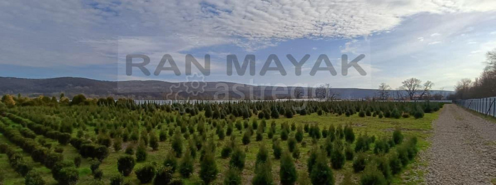 Торговое помещение, 37662 м Тульский - изображение 7