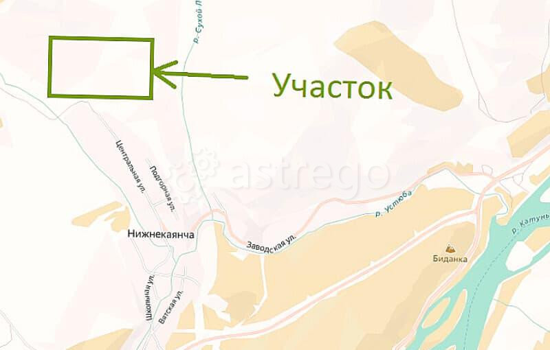 Земля под ИЖС, 3 га Алтайское - изображение 2