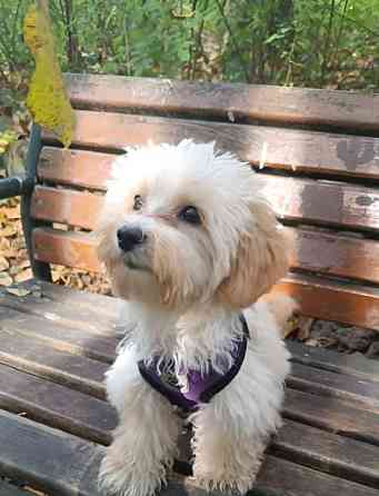 3-комн. квартира, 60 м2, 13/16 эт. Фрязино