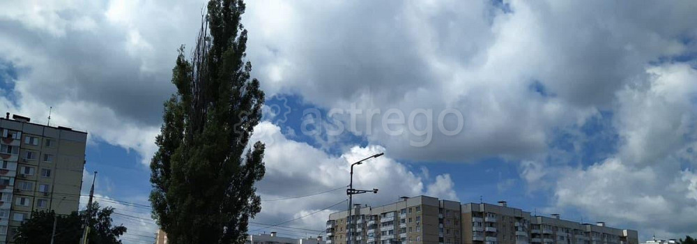 Торговое помещение, 35 м2 Белгород - изображение 5