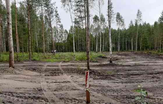 Земля с/х назначения, 8 соток Павловский Посад