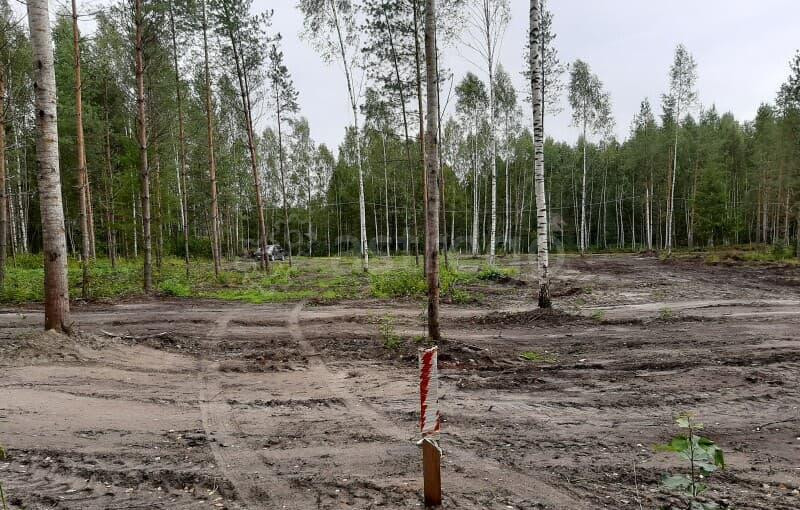 Земля с/х назначения, 8 соток Павловский Посад - изображение 6