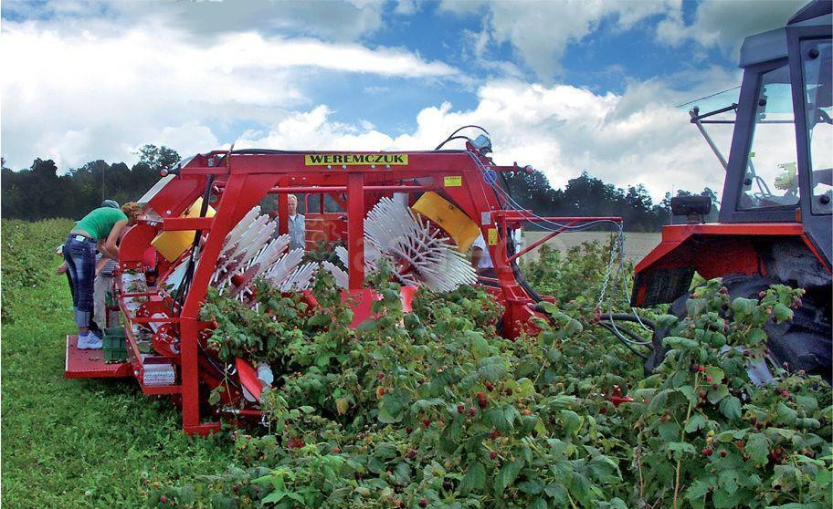 Комбайн рисоуборочный для осенней малины Natalia V Красногорск - изображение 1