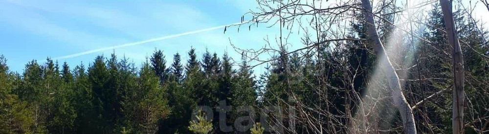 Земельный участок, 16.07 сотки Няндома - изображение 6