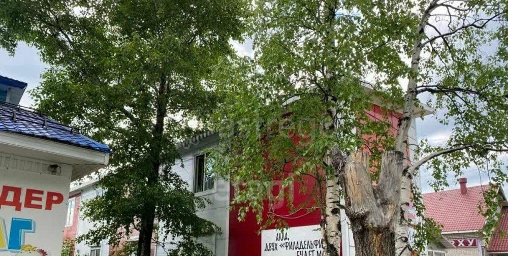 Торговое помещение, 430 м2 Няндома - изображение 7